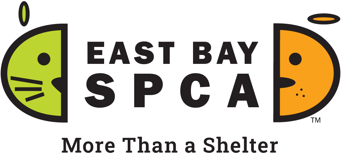 East Bay SPCA